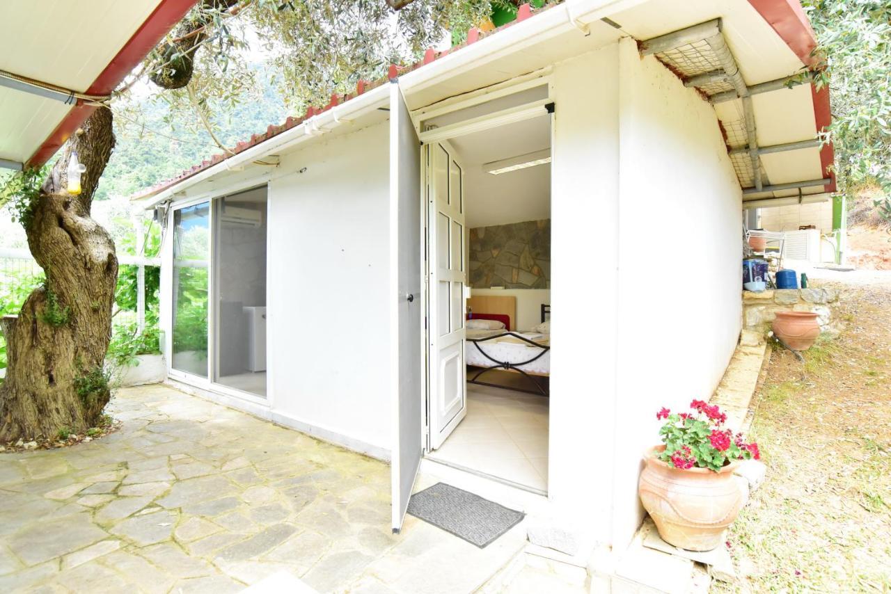 Nature Lovers-golden Chrisi Ammoudia