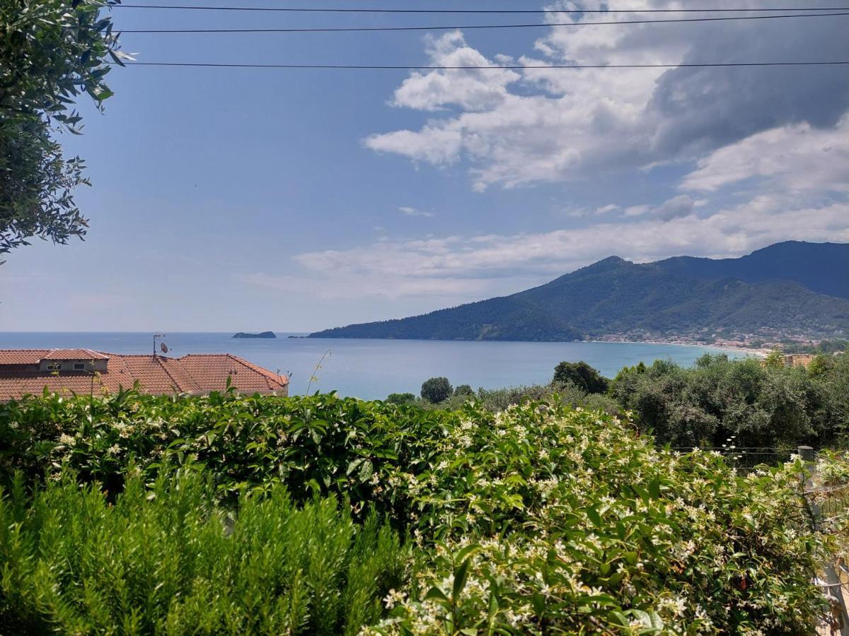 Nature Lovers-golden * Chrisi Ammoudia