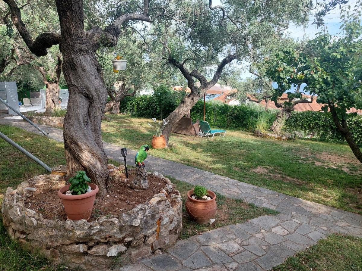 Apartment Nature Lovers-golden Chrysi Ammoudia