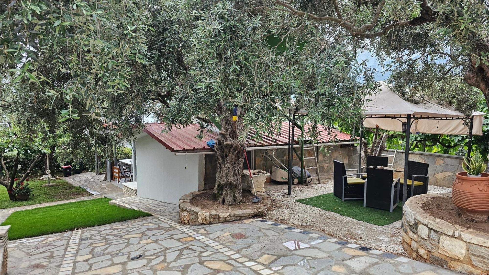 Nature Lovers-golden Apartment Chrysi Ammoudia